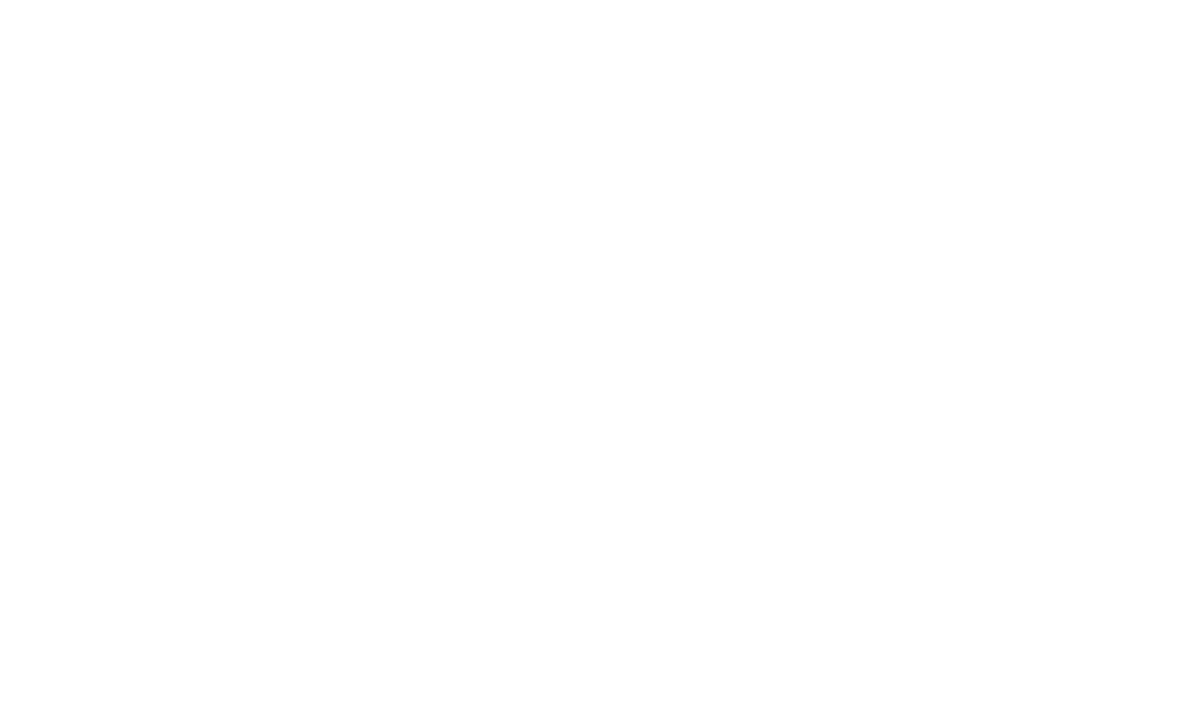 Vizium logo